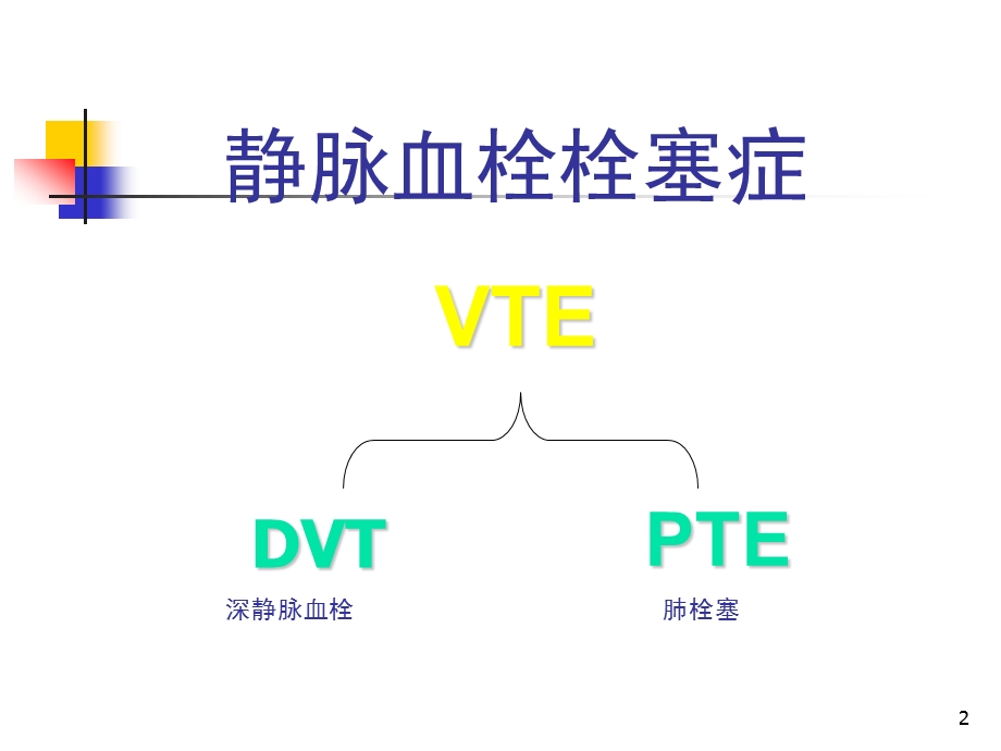 下肢静脉血栓形成机制课件.ppt_第2页