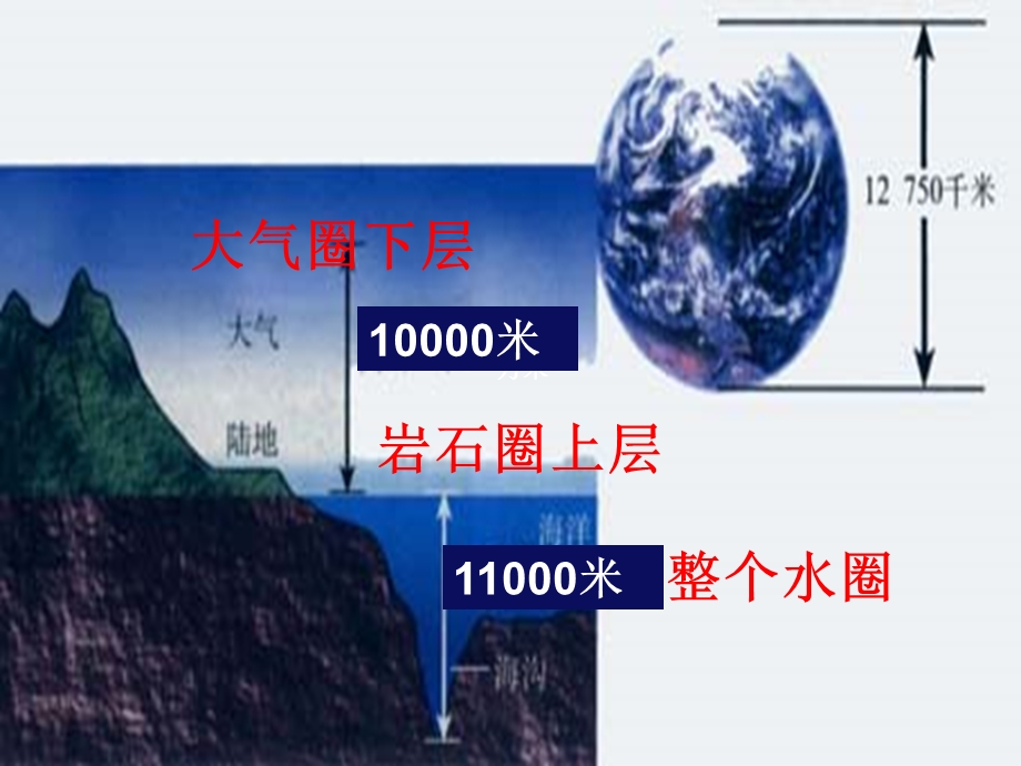 七年级生物上册1.1.1形形色色的生物ppt课件.ppt_第2页