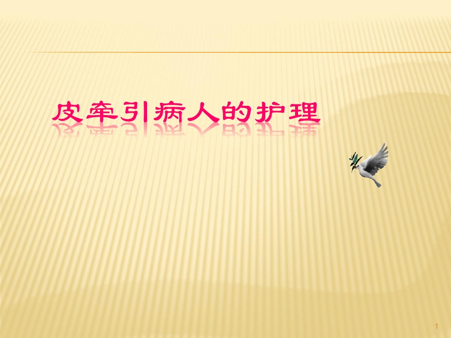 皮牵引的护理 (2)课件.ppt_第1页