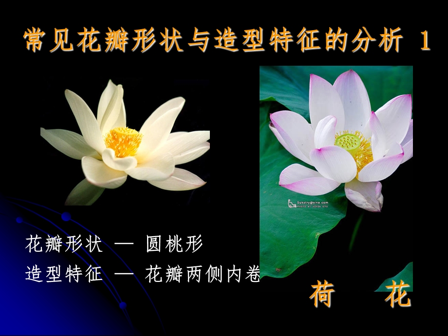 七年级劳技课彩色纸花的制作ppt课件.ppt_第3页