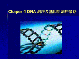 硕士研究生课——高级生物化学 DNA测序及基因组课件.ppt