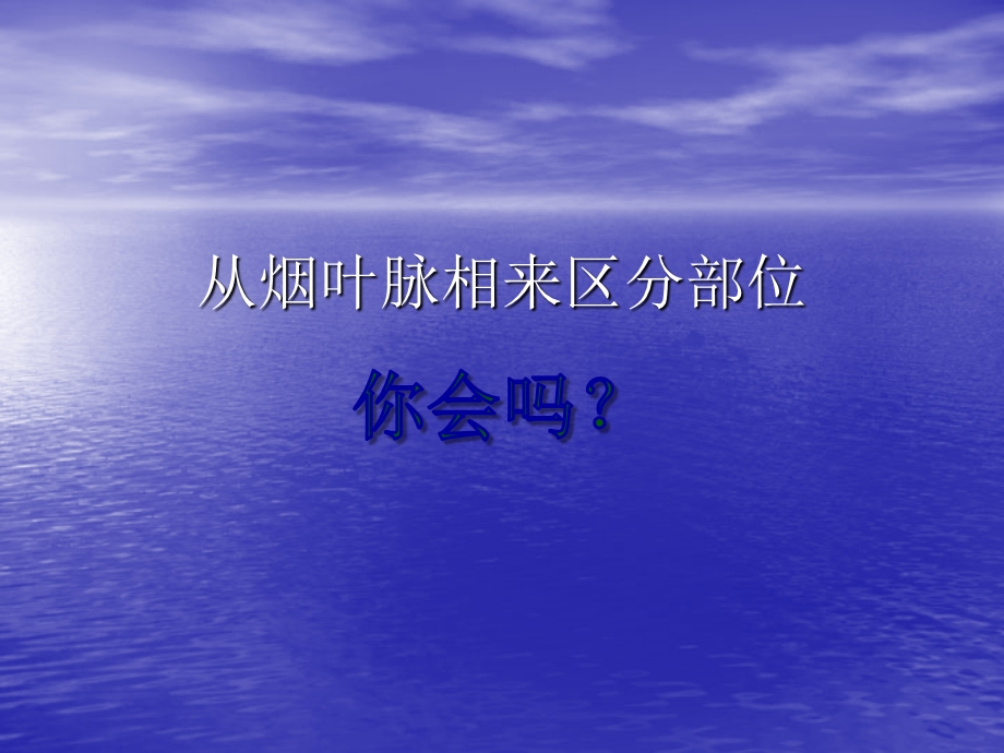 从烟叶脉相区分部位烟叶分级课件.ppt_第1页