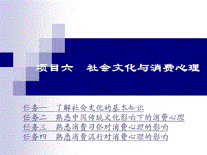 项目六 社会文化与消费心理课件.ppt