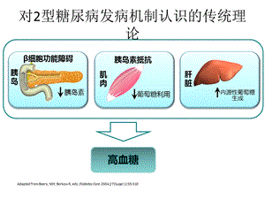 GLP 1相关背景幻灯课件.ppt