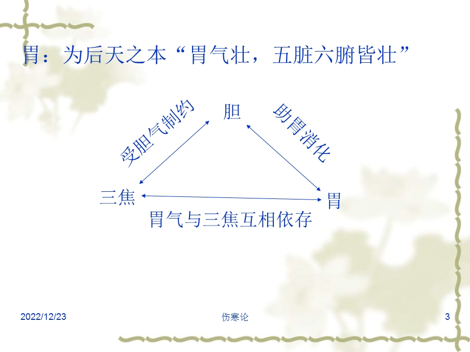 伤寒论少阳病篇(七版)课件.ppt_第3页