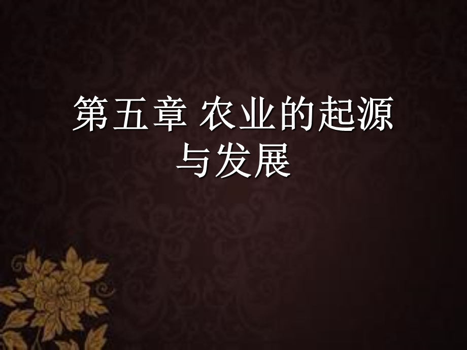 农业的起源与发展 课件.ppt_第1页