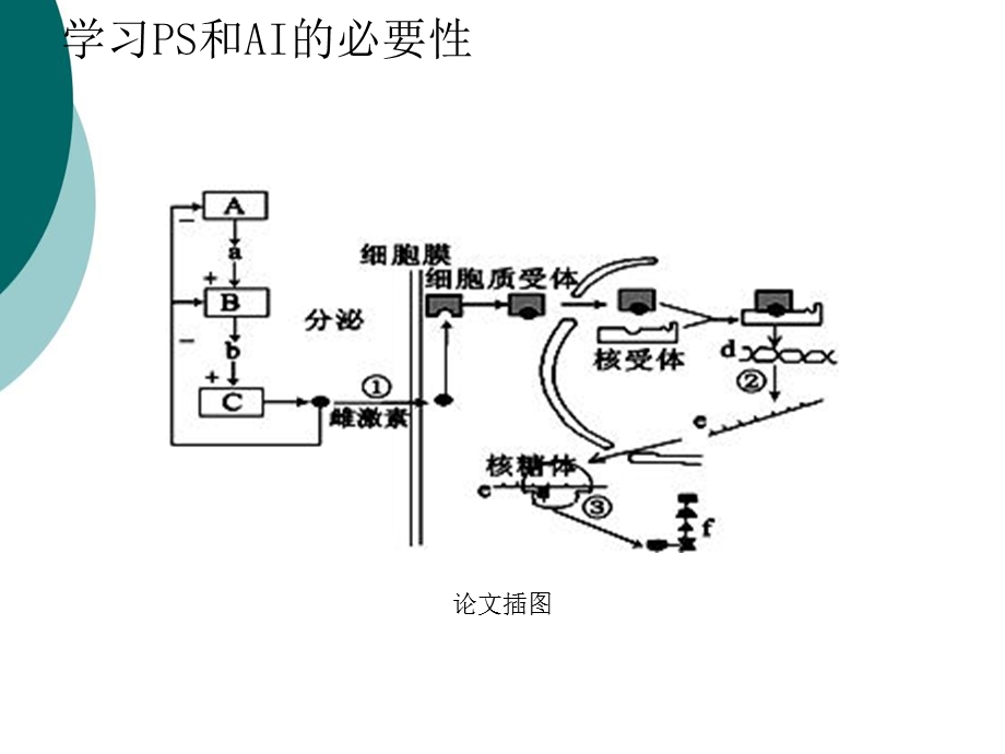 SCI论文插图规范课件.ppt_第3页