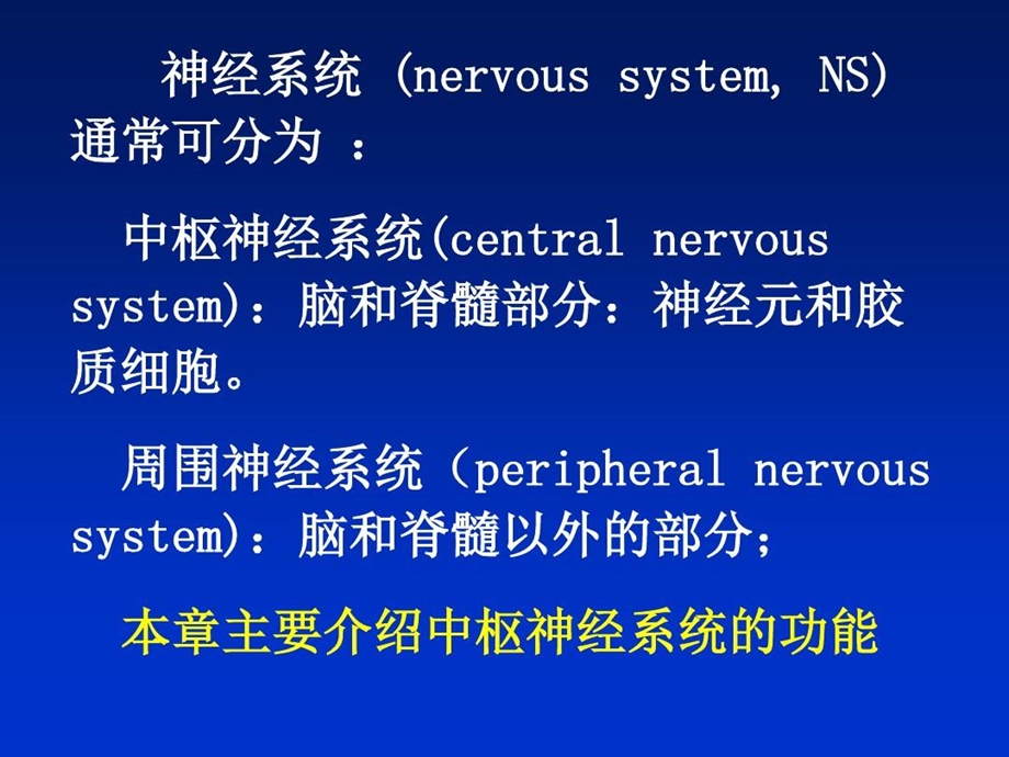 人体解剖生理学五版神经系统课件.ppt_第3页