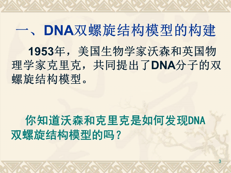 DNA分子的结构课件.ppt_第3页