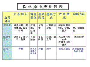 医学节肢动物 本科课件.ppt