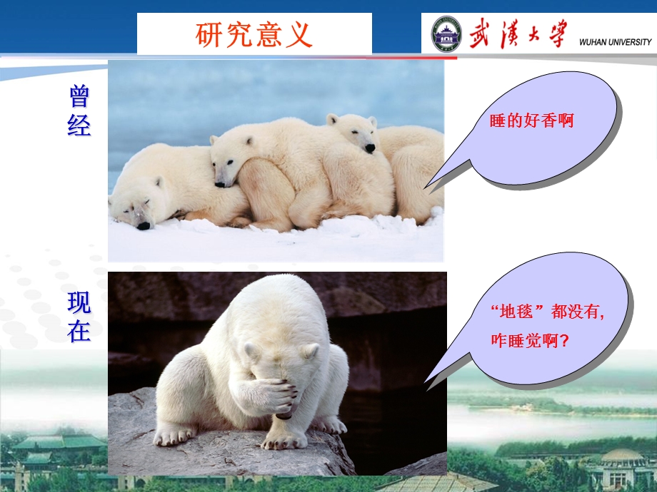 二氧化碳储藏课件.ppt_第3页