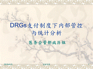 DRGs支付制度下内部管控与统计分析课件.ppt