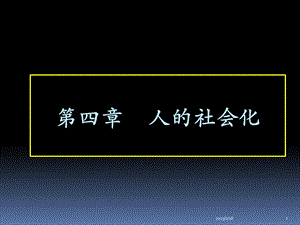 人的社会化4PPT资料课件.ppt