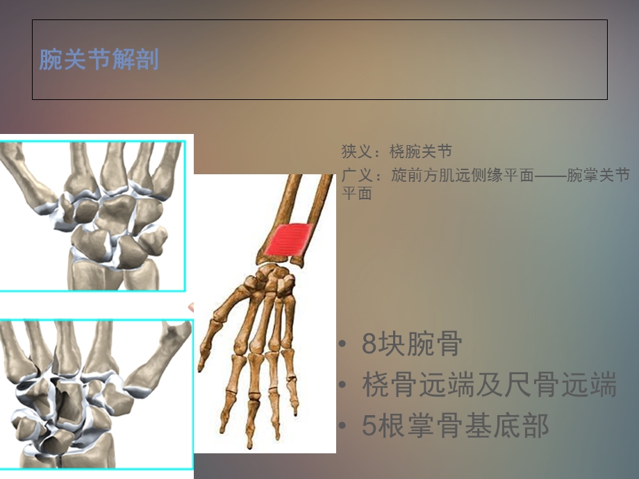 《腕关节解剖》课件.ppt_第2页