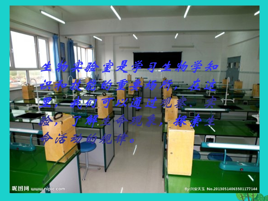 七年级生物上册第一章第一节走进生物实验室ppt课件冀教版.ppt_第3页