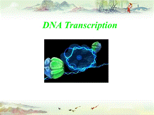 DNA transcription@生物化学精品课件.pptx