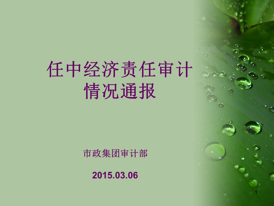 任中经济责任审计案例分析课件.ppt_第1页