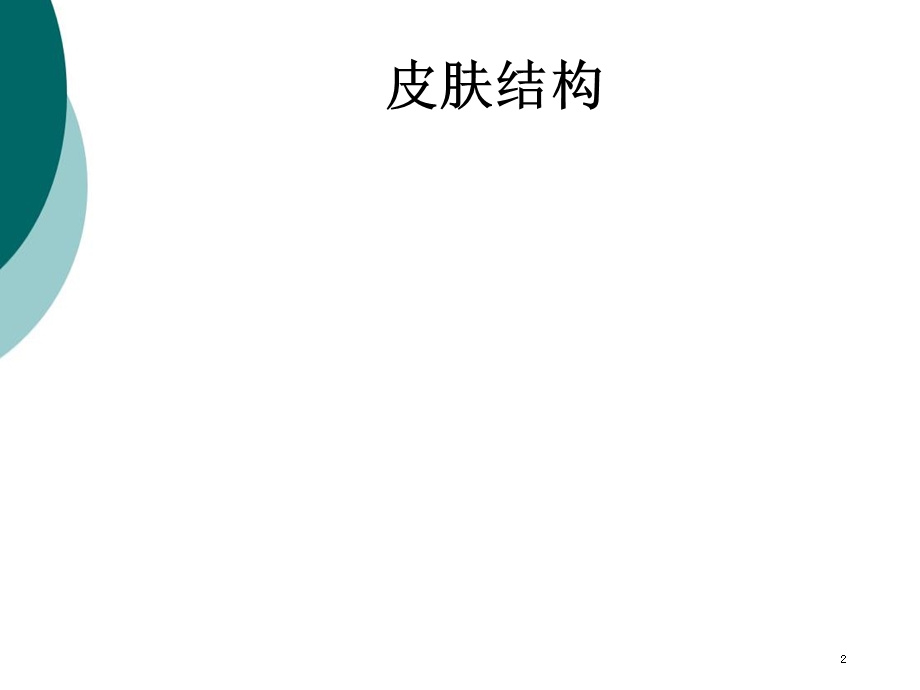 伤口评估及 处理课件.ppt_第2页