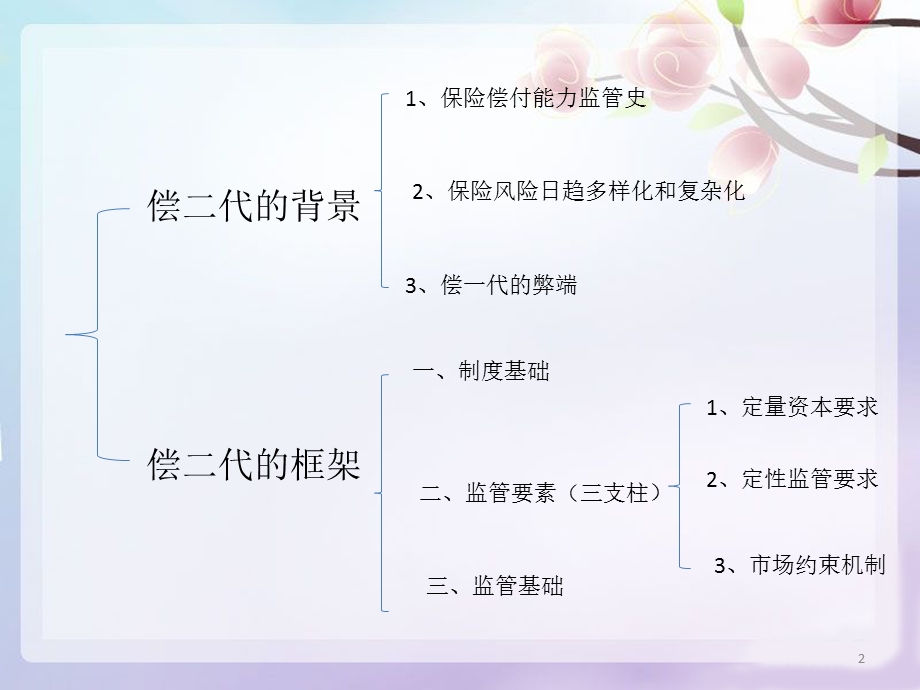 偿二代课件.ppt_第2页