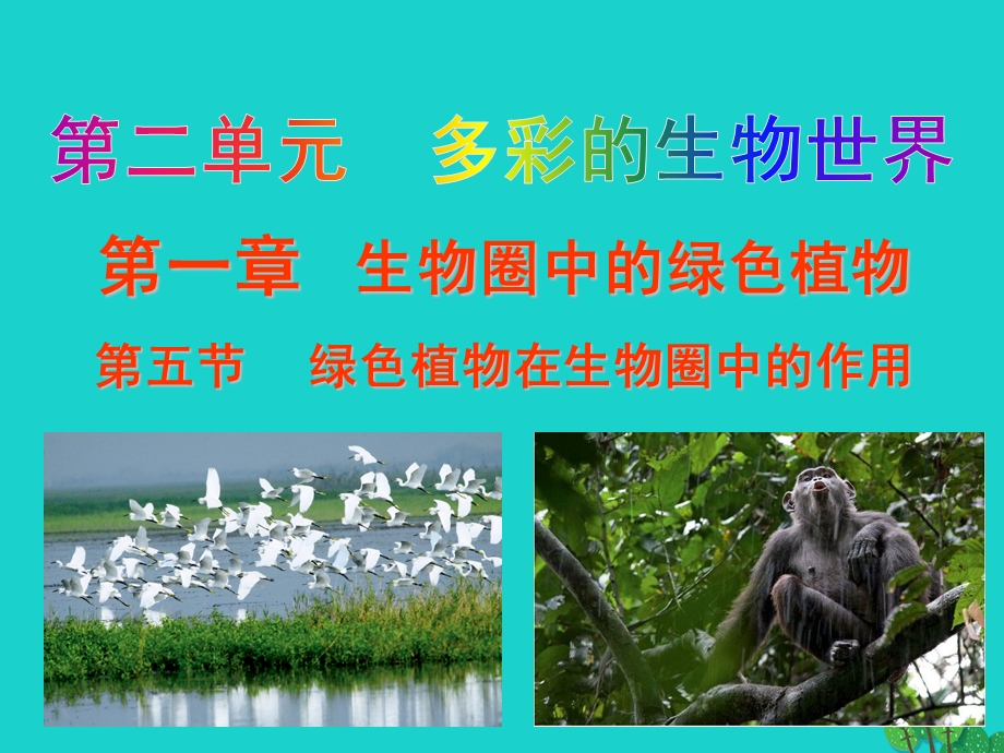 七年级生物上册2.1.5绿色植物在生物圈中的作用课件.ppt_第1页