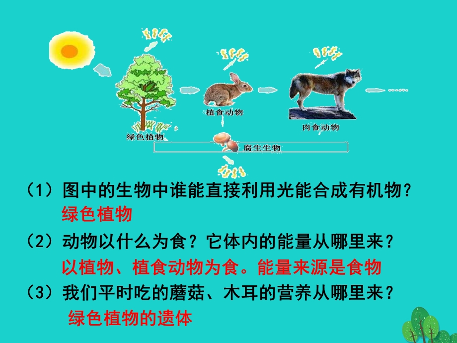 七年级生物上册2.1.5绿色植物在生物圈中的作用课件.ppt_第2页