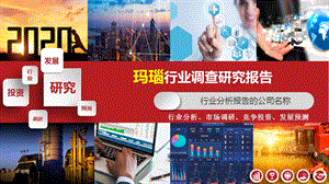 2020年玛瑙行业市场调研分析报告课件.pptx