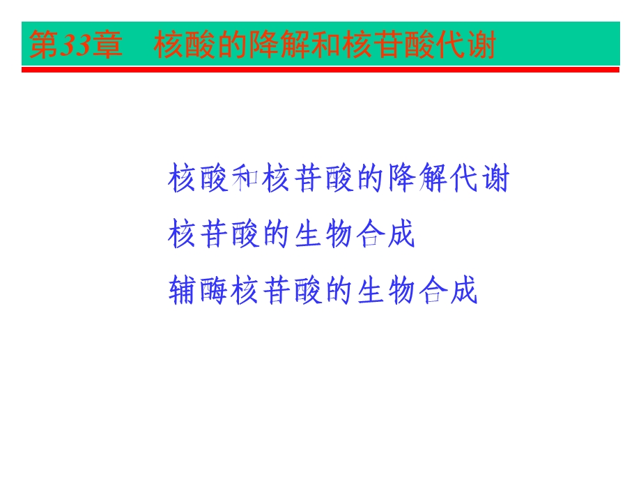 第33章核酸降解第33章核酸降解和核苷酸代谢课件.ppt_第2页