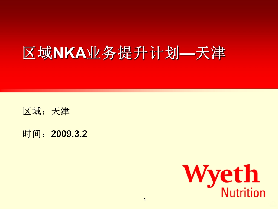 NKA系统提升计划 课件.ppt_第1页