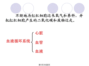 人体内的物质运输复习课件.pptx