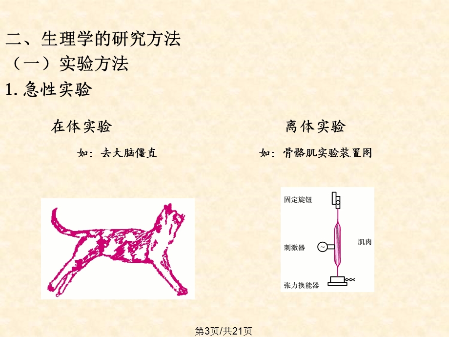 人体生理学课件.pptx_第3页