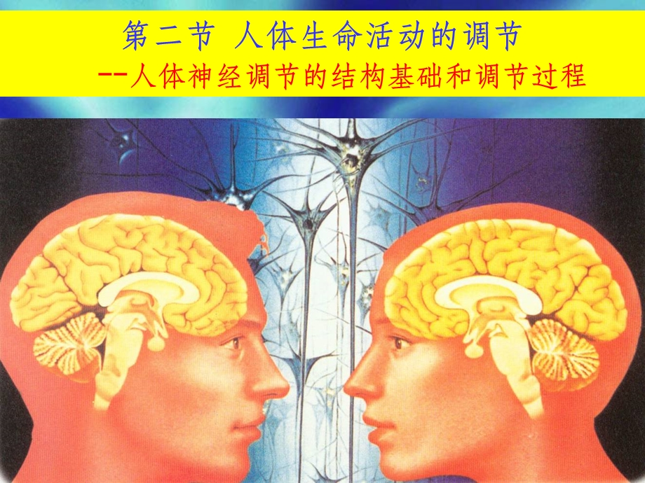 生物必修三 神经调节课件.ppt_第1页