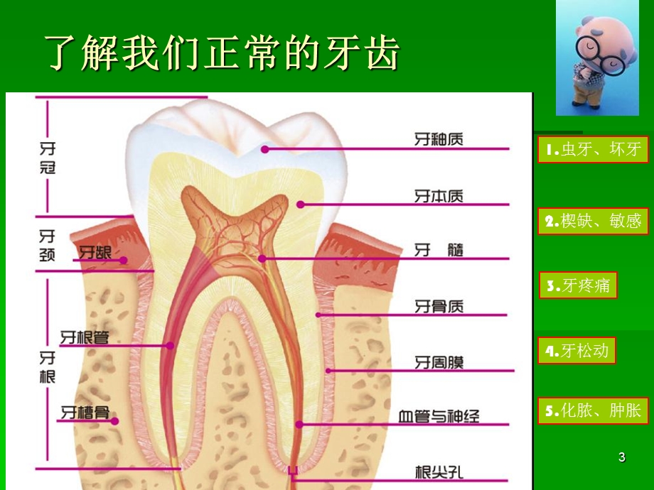 中老年人的口腔卫生保健概要课件.ppt_第3页