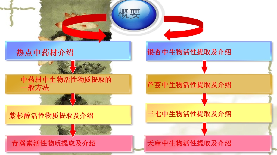 中药材植物介绍及活性成分提取方法课件.ppt_第2页