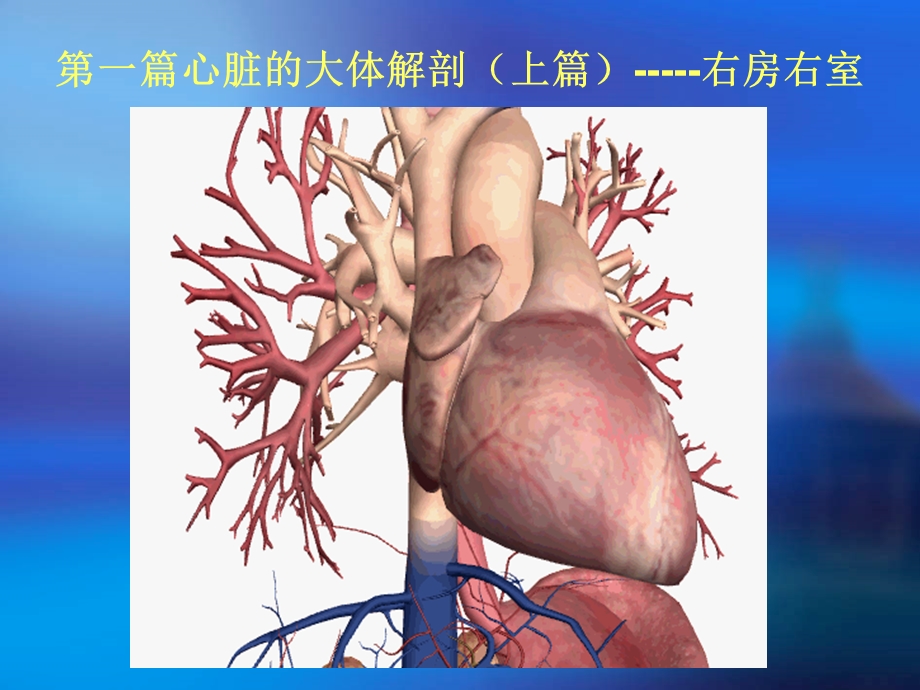 心脏三维解剖分析课件.ppt_第3页