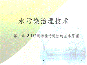 好氧活性污泥法的基本原理PPT课件.ppt