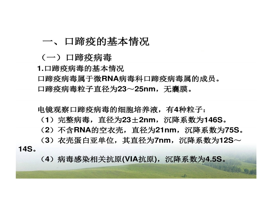 口蹄疫流行与防控课件.ppt_第3页