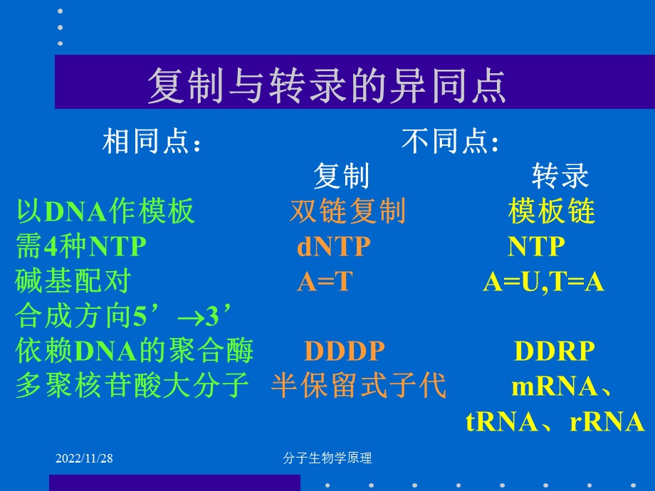 分子生物学原理RNA生物合成课件.ppt_第2页