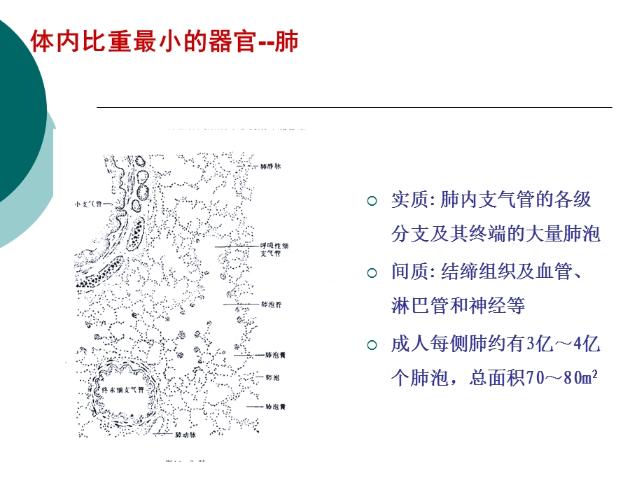 富露施幻灯片改课件.pptx_第1页