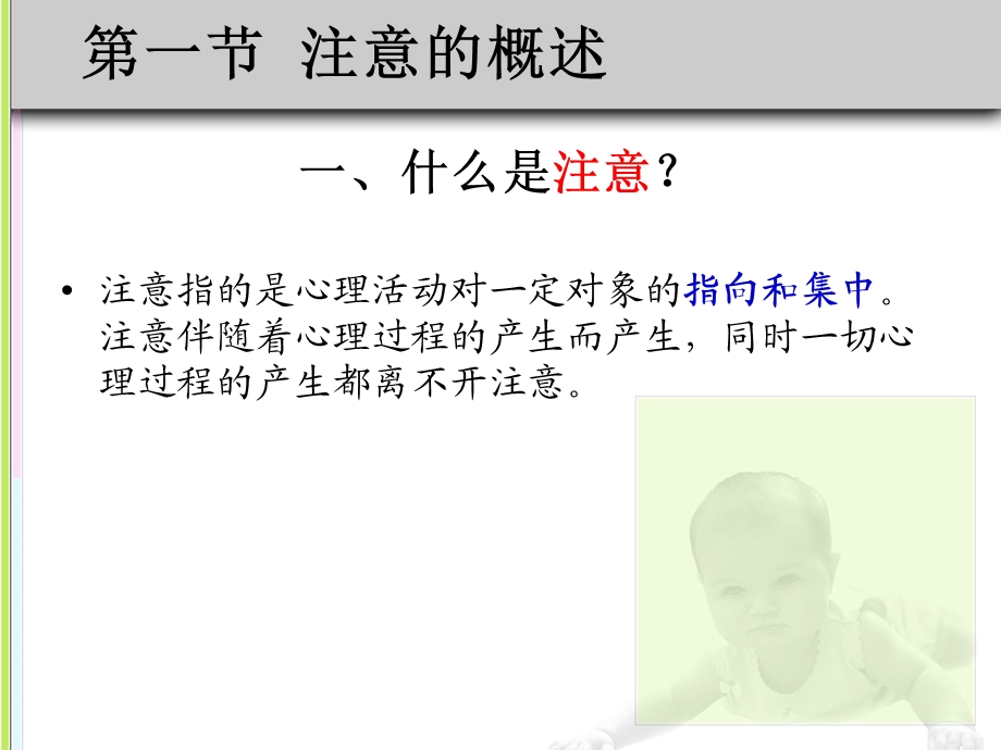 学前儿童发展课件.ppt_第2页