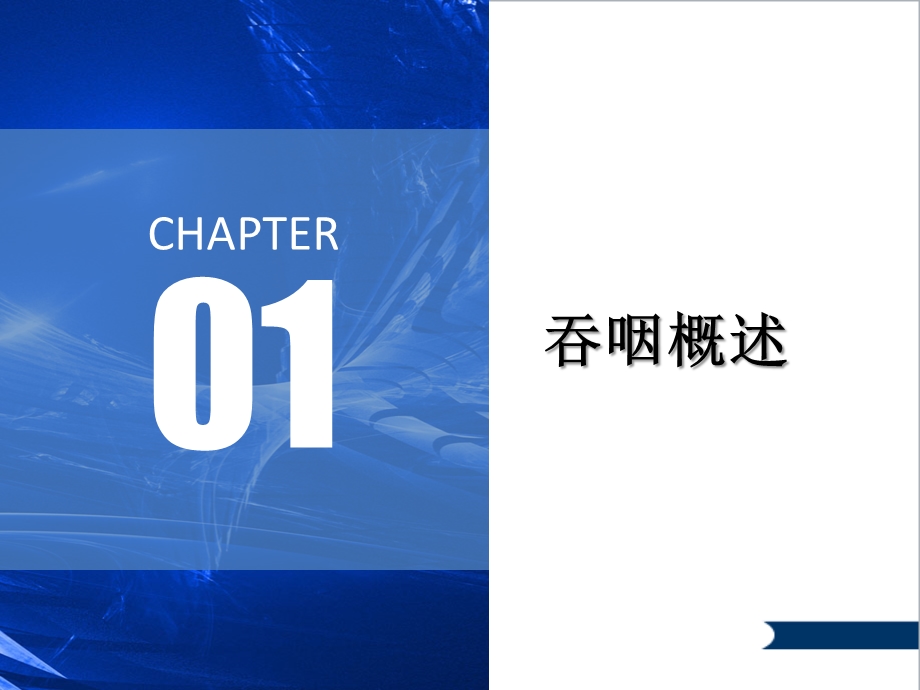 吞咽系统解剖课件.ppt_第3页