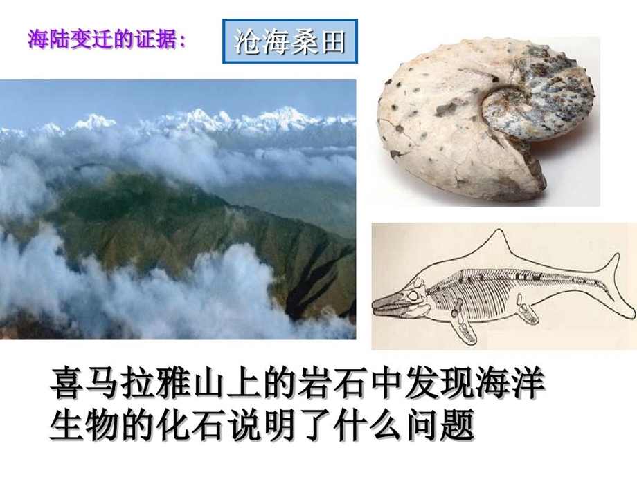 初一地理上册海陆的变迁课件.ppt_第3页