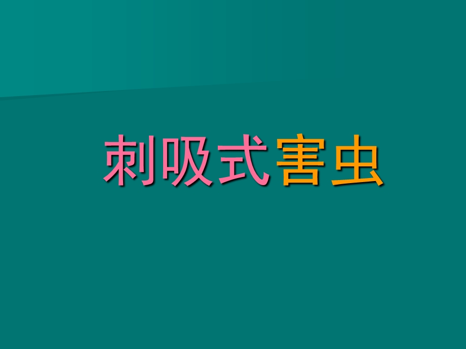 刺吸式口器害虫的识别与防治课件.ppt_第1页