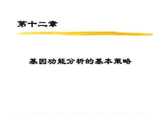 基因功能分析基本策略课件.ppt