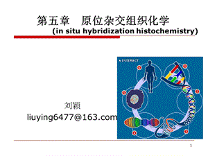 原位杂交课件.ppt