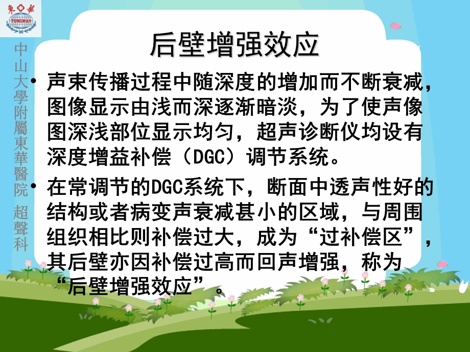 常见声像图伪差课件.ppt_第3页