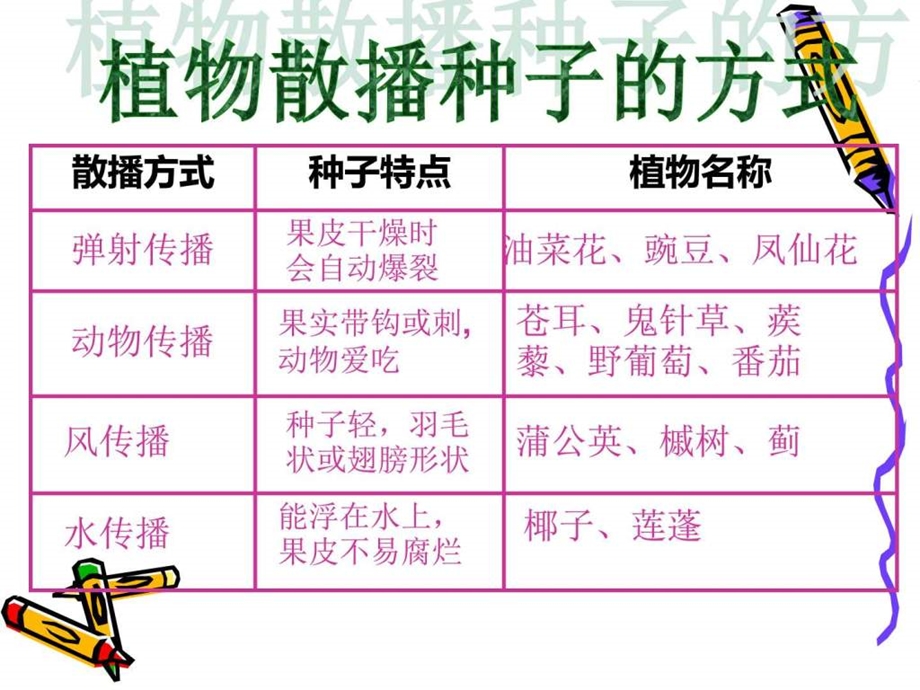 四年级下册科学动物的繁殖活动课件.ppt_第1页