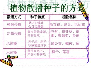 四年级下册科学动物的繁殖活动课件.ppt