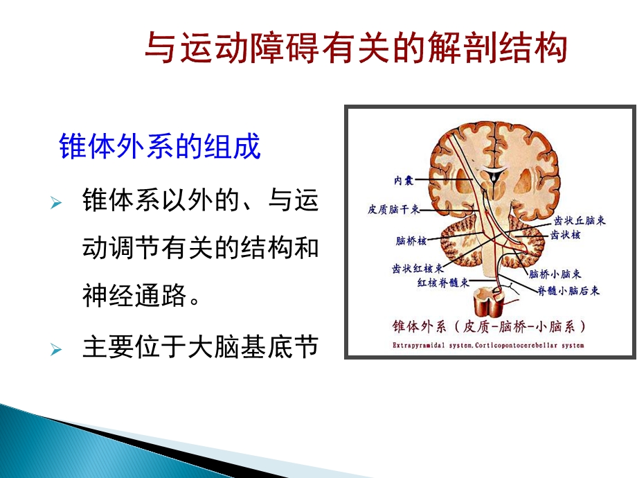 帕金森病人的护理课件.ppt_第3页