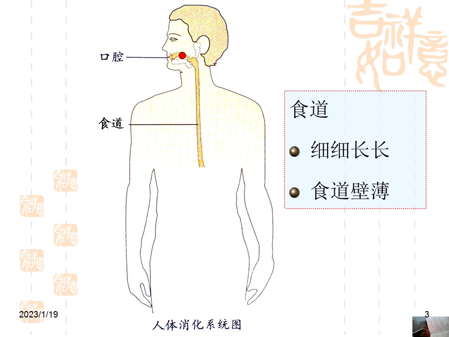 幼儿园大班健康保护我的肠胃课件.ppt_第3页