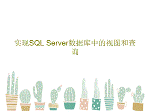 实现SQLServer数据库中的视图和查询课件.ppt